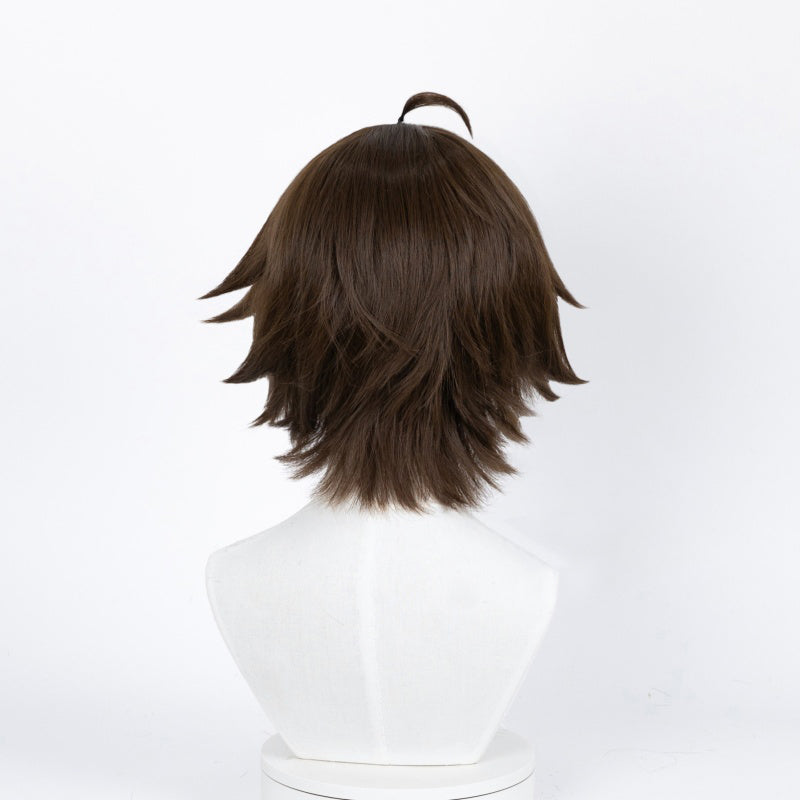 Guilty Crown Shu Ouma Cosplay Wig