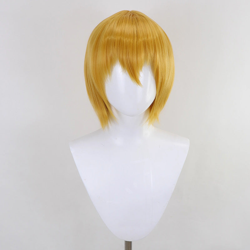 Limbus Company Don Quixote Cosplay Wig