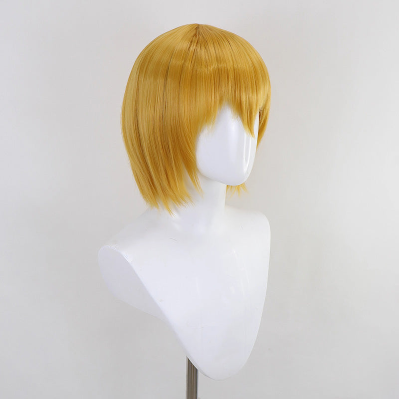 Limbus Company Don Quixote Cosplay Wig