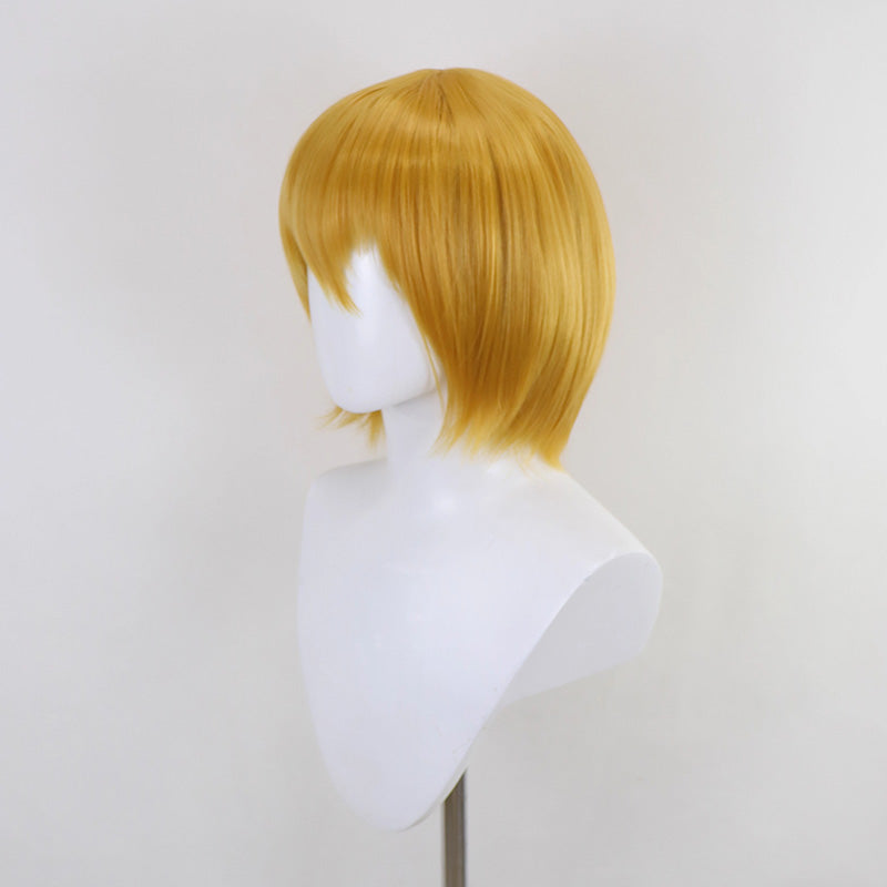 Limbus Company Don Quixote Cosplay Wig