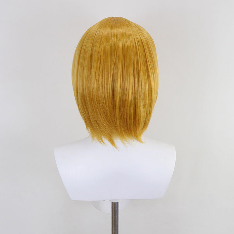 Limbus Company Don Quixote Cosplay Wig
