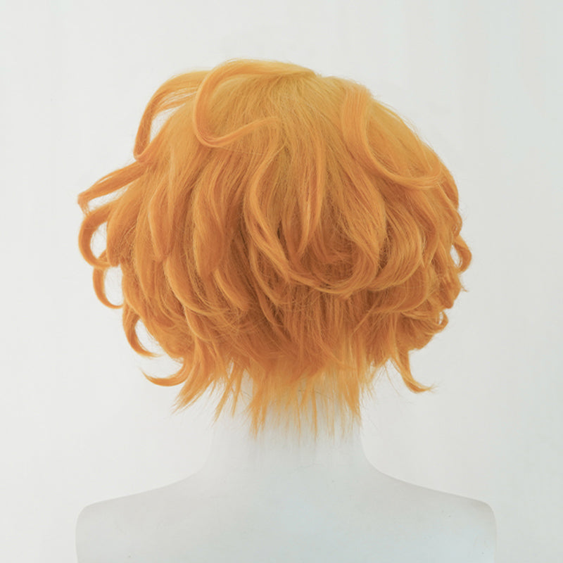 Limbus Company Don Quixote Project Moon Worldview Sancho Spoiler Cosplay Wig