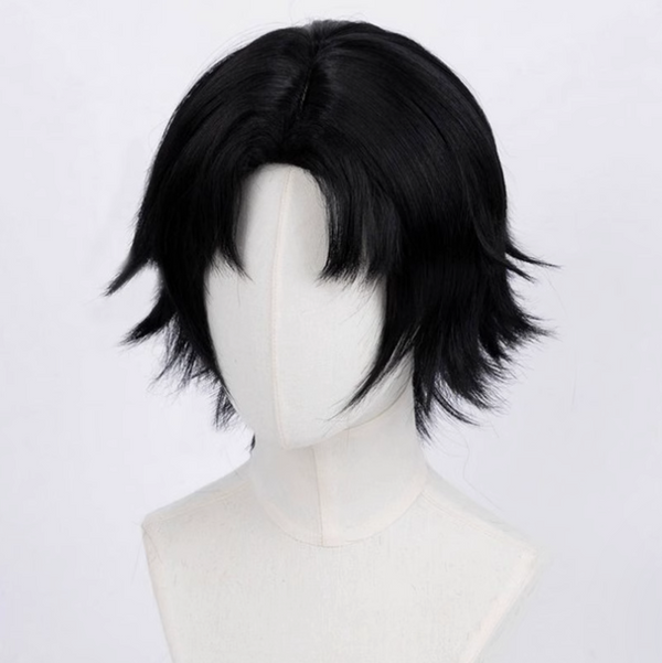 Slay The Gods Zhan Shen: Fanchen Shenyu Wang Mian Cosplay Wig