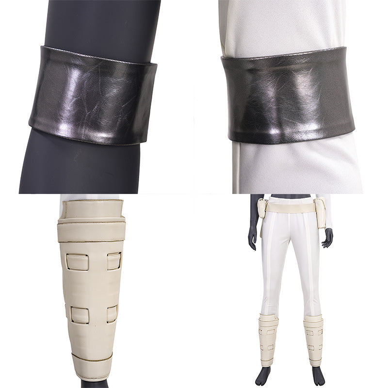 Star Wars: Episode II ¨C Attack of the Clones Padm¨¦ Amidala Cosplay Costume