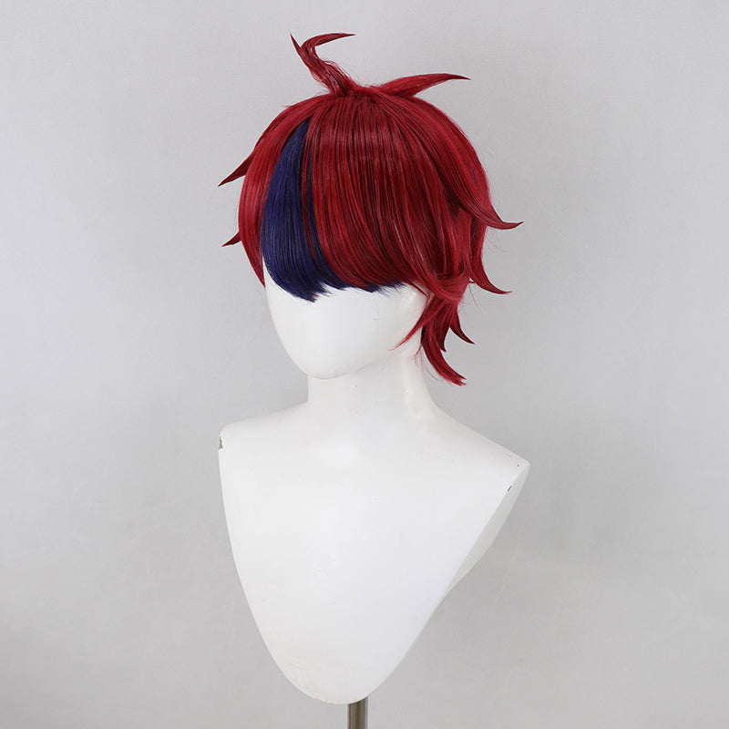The Hundred Line -Last Defense Academy Takumi Sumino Cosplay Wig