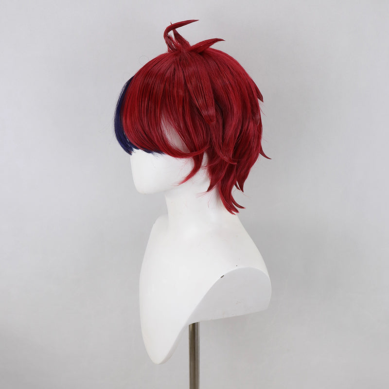 The Hundred Line -Last Defense Academy Takumi Sumino Cosplay Wig