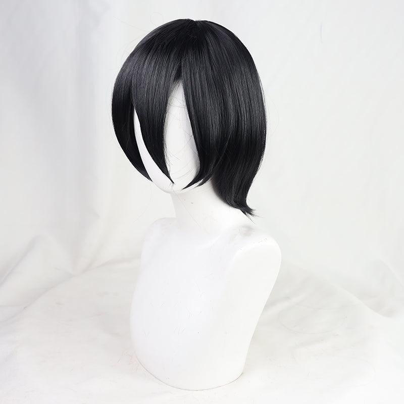 Attack On Titan Shingeki No Kyojin Final Season Mikasa Ackerman Cosplay Wig