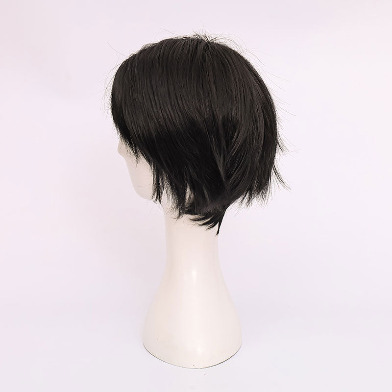 Attack on Titan Levi Ackerman Black Cosplay Wig