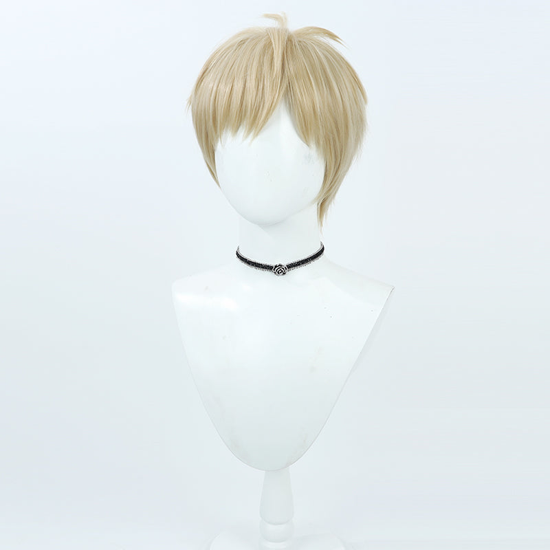Delicious in Dungeon Laios Touden Cosplay Wig