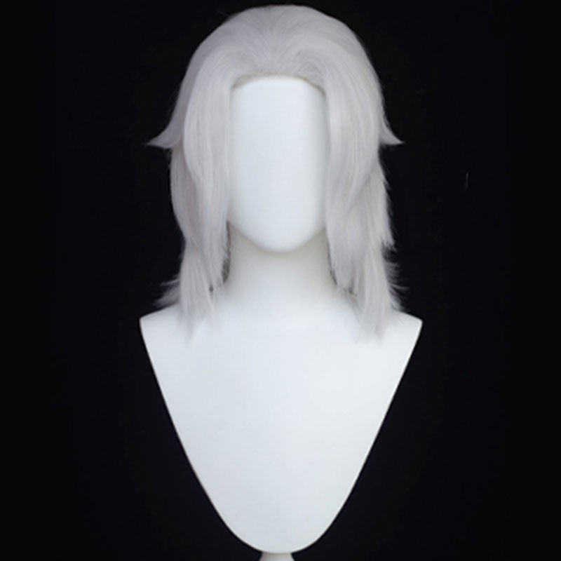 Final Fantasy XIV FF14 Emet-Selch Hades Solus zos Galvus Ancient Cosplay Wig