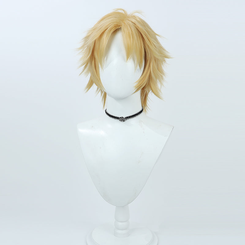 Final Fantasy X Tidus Cosplay Wig