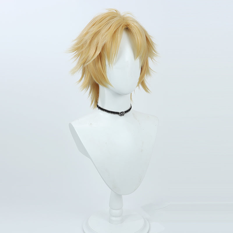 Final Fantasy X Tidus Cosplay Wig