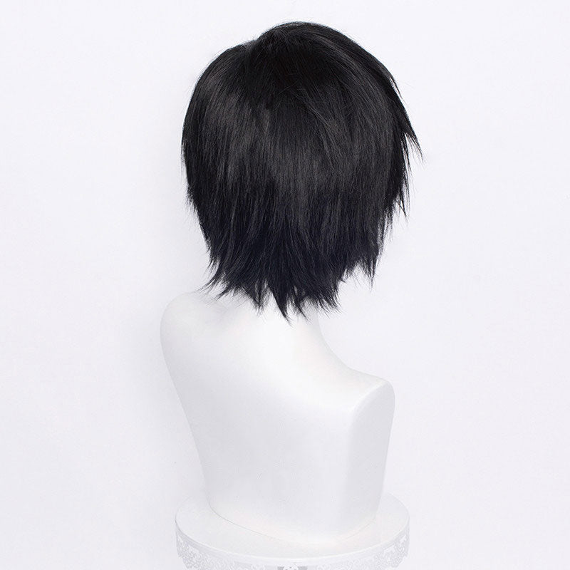 Jujutsu Kaisen Sorcery Fight Toji Fushiguro Cosplay Wig