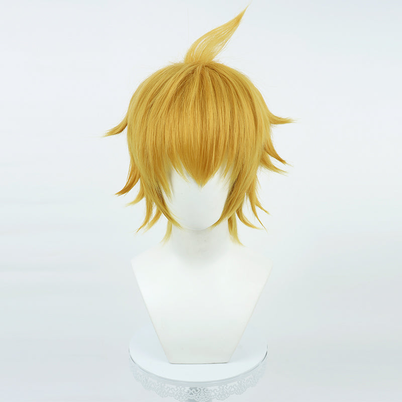 Mob Psycho 100 Teruki Hanazawa Cosplay Wig