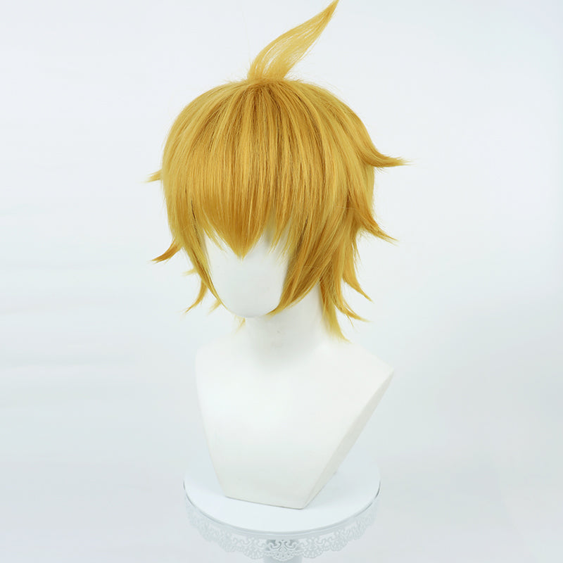 Mob Psycho 100 Teruki Hanazawa Cosplay Wig