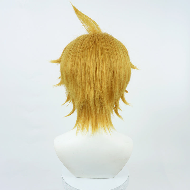 Mob Psycho 100 Teruki Hanazawa Cosplay Wig