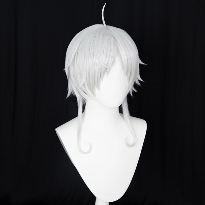 Mushoku Tensei: Jobless Reincarnation Season 2 Sylphiette Greyrat Cosplay Wig