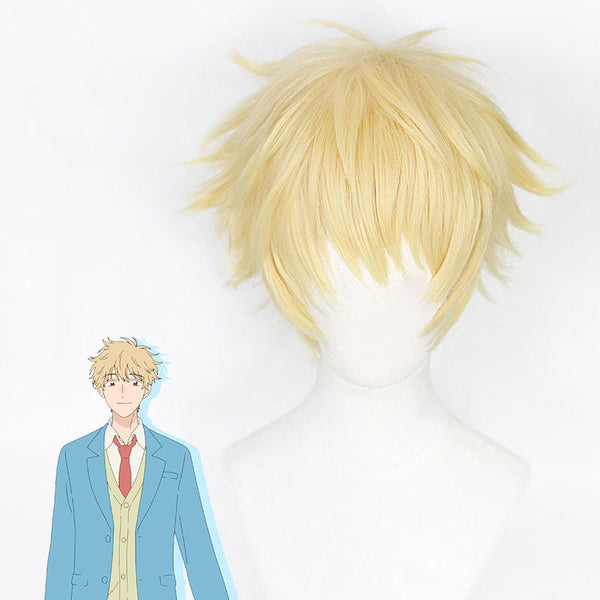 Skip and Loafer Sosuke Shima Cosplay Wig