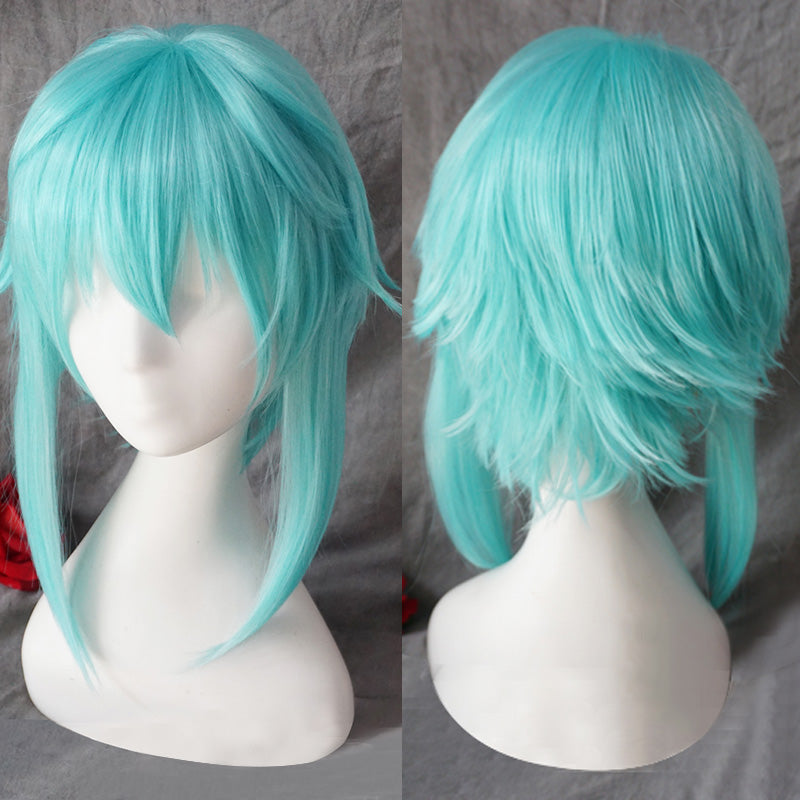 Sword Art Online Gun Gale Online Asada Shino Cosplay Wig