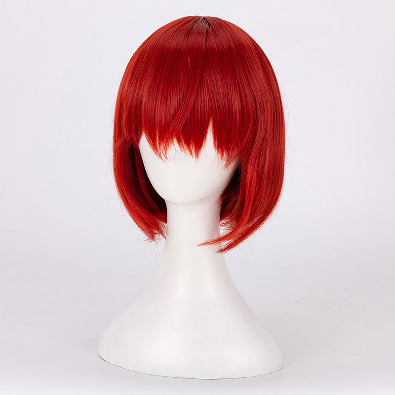 The Ancient Magus' Bride Chise Hatori Red Cosplay Wig