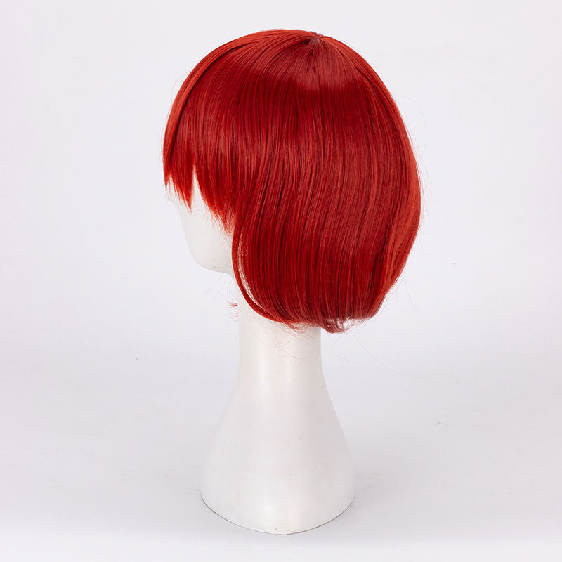 The Ancient Magus' Bride Chise Hatori Red Cosplay Wig