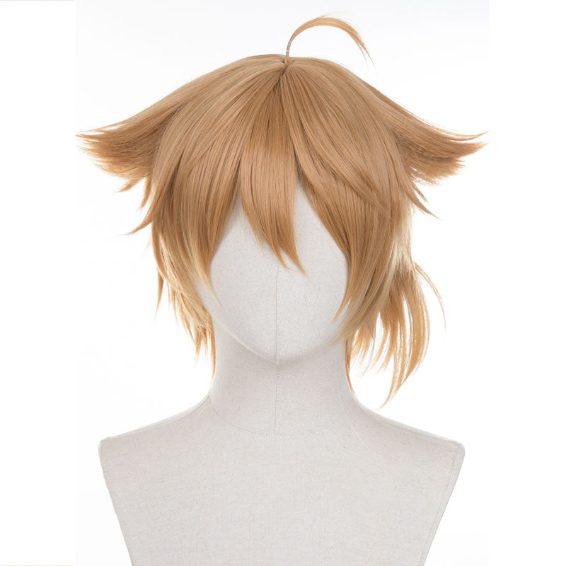 Virtual YouTuber Fushimi Gaku Cosplay Wig