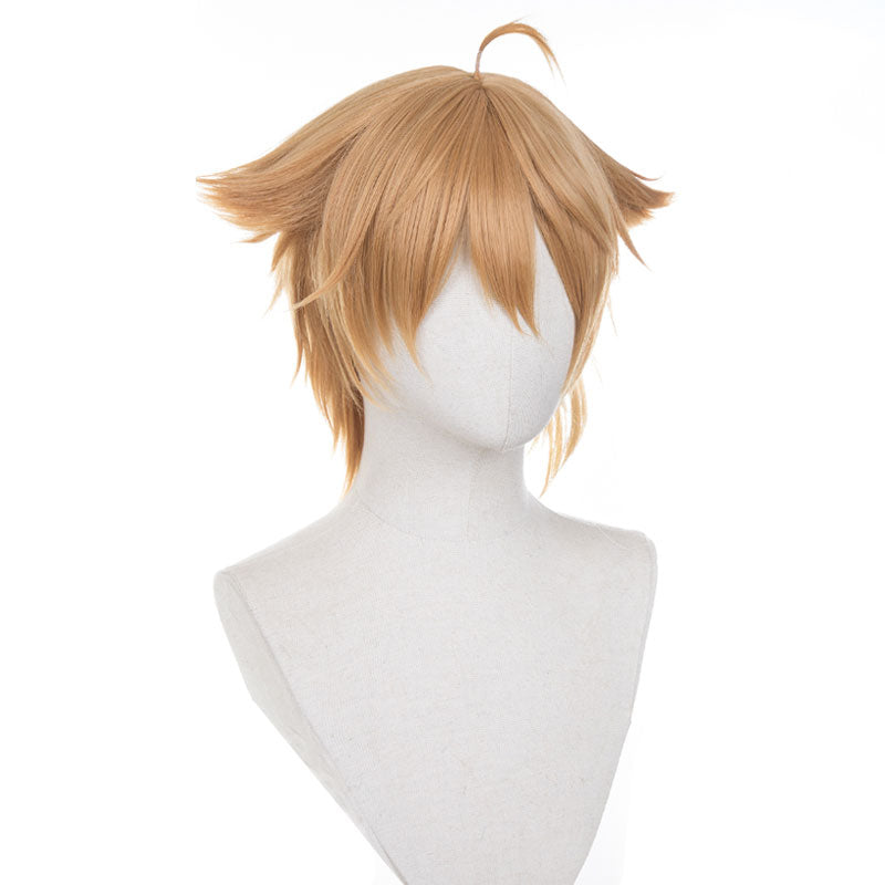 Virtual YouTuber Fushimi Gaku Cosplay Wig